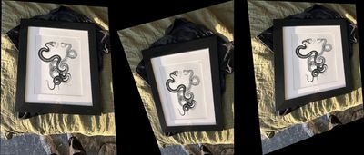 Three warped versions of the originally uploaded framed image of some snakes.