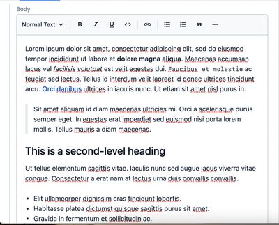 A rich text, WYSIWYG editor with many types of content formatting on some lorem ipsum placeholder text.