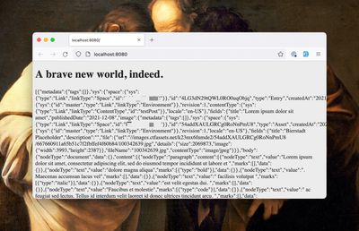 A browser showing a website populated with a headline and some JSON code.